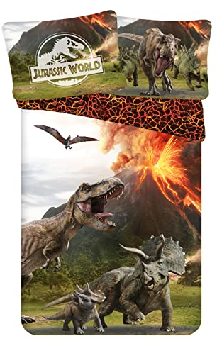 Theonoi Set 2 teilig Bettwäsche Bettbezug Wendebettwäsche 135x200 80x80 Baumwolle · Kinderbettwäsche Öko-Tex Standard Deutsche Standardgröße T-Rex Dinosaurier (Jurassic)