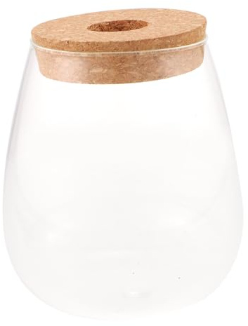 Abaodam Bouteille Verre pour Culture Hydroponique Contenant de Plantes pour Micro-Paysage DIY Pot Écologique de Bureau