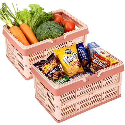 2 Stück Klappkorb Faltbar mit Tragegriff, Camping Klappbox Klein | Einkaufskorb aus Kunststoff mit Utschfestem Boden, Aufbewahrungsbox für Camping, Küche, Bad, Büro（30.5x20.5x16.5cm)