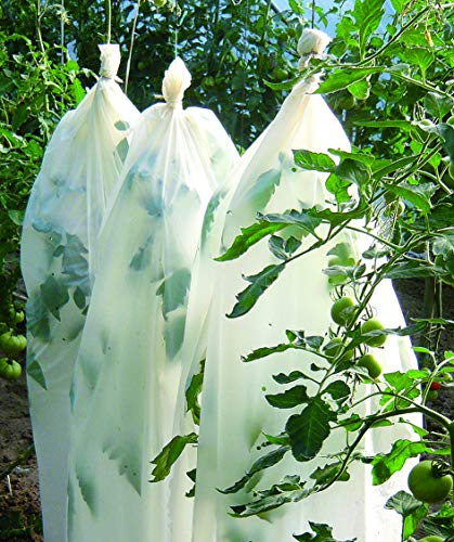 Vilmorin – Guaina per la Crescita dei pomodori bio 0,6 x 8 m, Facile da Usare, Protegge e favorisce la germinazione e la Crescita dei Giovani germogli di Pomodoro – in Farina di Cereali 25 μm