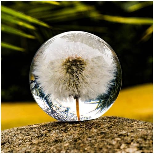 JIAHEY Briefbeschwerer Pusteblume,Traumgeschenkkugel,Kristall Wunschkugel Traumball Einzigartiger Briefbeschwerer aus Löwenzahn Familie Liebhaber Kinder und Freunde (6CM