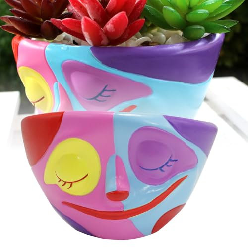 Eujgoov Sembradora Suculenta Colorida Maceta Artesanal para la Decoración del Hogar Al Aire Libre en Interiores