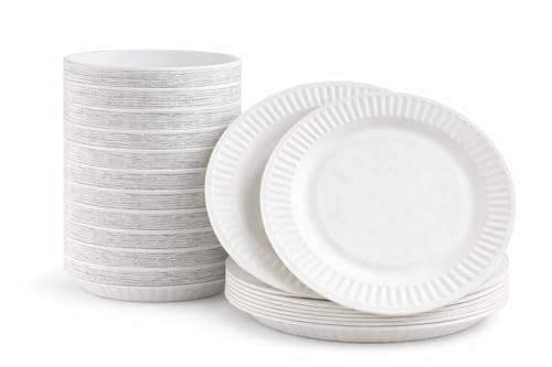 1ABOVE 100 Pack of 9-Inch Disposable Paper Plates, 23cm White Paper Plates Perfect for Everyday use, Ideal for BBQ's, Parties and Events.
