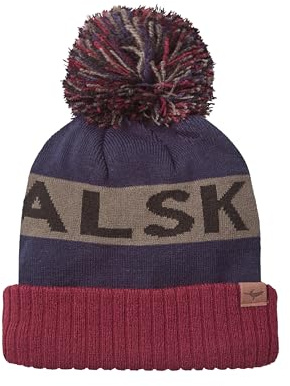 SEALSKINZ Unisex Isolierte und Wasserabweisende Kaltes Wetter Pudelmütze