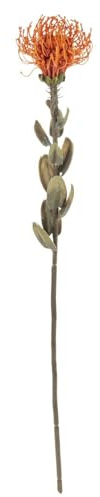 artplants.de Künstliche Nadelkissen Protea URMINE, orange, 60cm | Trockenoptik - Kunstblume Protea