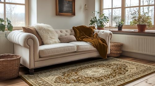 AKCILA Super Rose, Braun Beige Ornament Teppich Wohnzimmer 240x330 cm, Teppiche Gegend, The Carpet Living Room, Bedroom Rug, Orientalischer Tepich, Vintage Carpets, Rugs for Living Room, Kurzflor