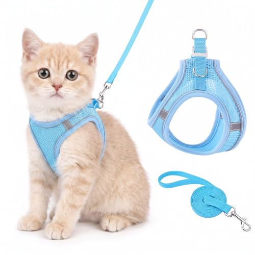 Ensemble Harnais et Laisse pour Chat et Petit Chien, Taille M Bleu | Réglable Respirant Réfléchissant Anti-Évasion, Laisse 1.5m, Facile à Mettre, pour Chaton Chiot, Sécurité Confortable Sortie
