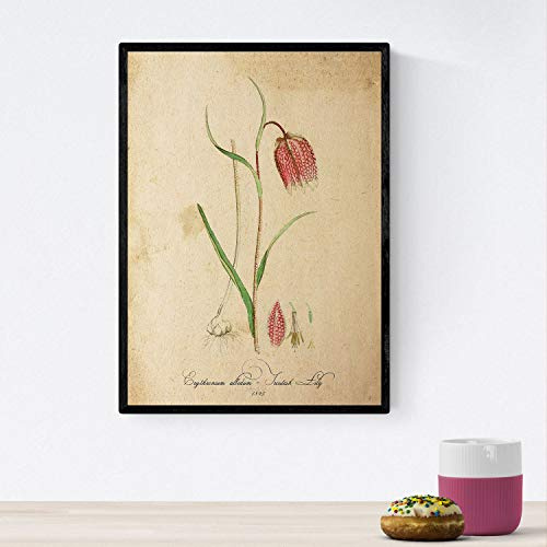Nacnic affiche des fleurs vintage. feuille Dahlia orange avec un design vintage. design d'intérieur Botanique. format A4