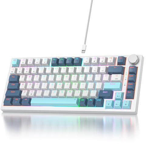 SOLIDEE Verkabelte Mechanische Gaming Tastatur 75 Prozent,hot-swap-fähige Mechanische Tastatur mit Gasket Struktur,RGB Hintergrundbeleuchtung,82 Tasten TKL mit Drehknopf(82 Shoko)