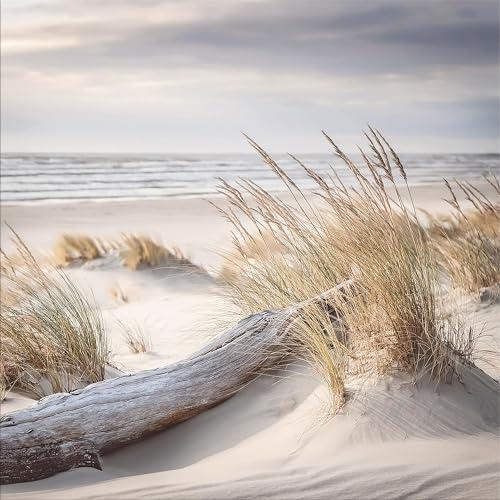 artissimo, Glasbild, 30x30cm, AG5606A, Landschaft/Natur: Strand und Meer I, Bild aus Glas, Wanddekoration aus Glas, Wandbild Wohnzimmer modern, Dünen-Landschaft, hell, blau beige