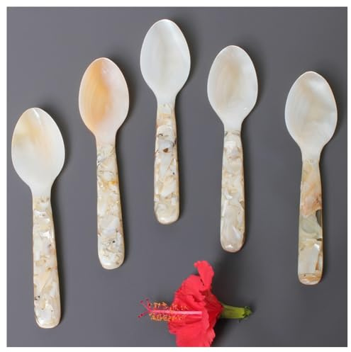 Hrlace Cuchara de nácar de 16 cm, cuchara de caviar, cuchara de huevo, hecha a mano, nácar, producto natural, concha de agua dulce, nácar, caviar, cuchara natural para caviar, huevo, hielo, café,