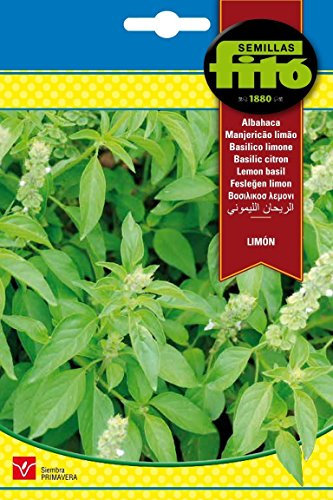 Semillas Fitó 8849 - Semillas de Albahaca Limón