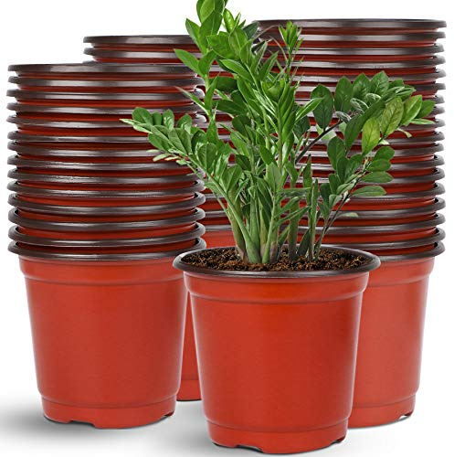Augshy Plastik Blumentöpfe, 110 Stück Kunststoff Pflanztöpfe 15cm Anzuchttöpfe Rot Blumentöpfe für Sukkulenten Setzlinge Stecklinge Umpflanz | Pflanzen-Behälter, Outdoor-Saat-Starter-Töpfe, Umpflanzen, Gartenarbeit, für Sukkulenten, Sämlinge, Schneiden, Umpflanzen