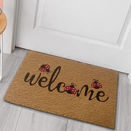 CARPETIA Duradera Alfombra de Coco atrapa Suciedad Welcome Mariquita Negro Rojo, 45 x 75 cm