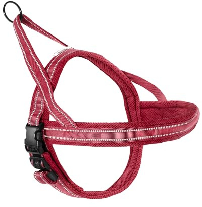 Record Hundegeschirr Dolomiti aus gewebtesmNylon mit 3M ScotchLite Reflektierenden Bändern | Farbe Rot, Größe M, 62-72 cm