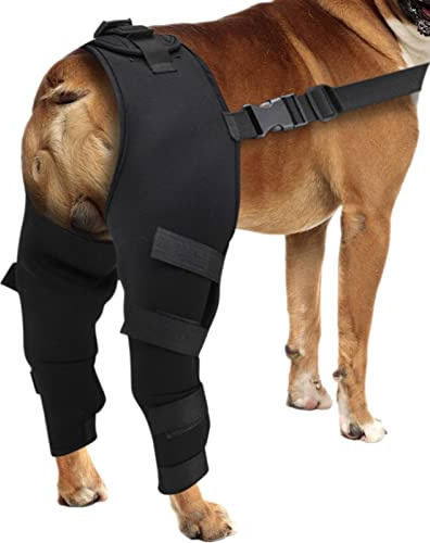 A/R Hunde-Hüftbandage – Hunde-Hinterbeinschutz Hüft-Kniegelenk-Unterstützung, Kniebandage, Hinterbeinstütze, Gelenkbandage für Hunde, Beine