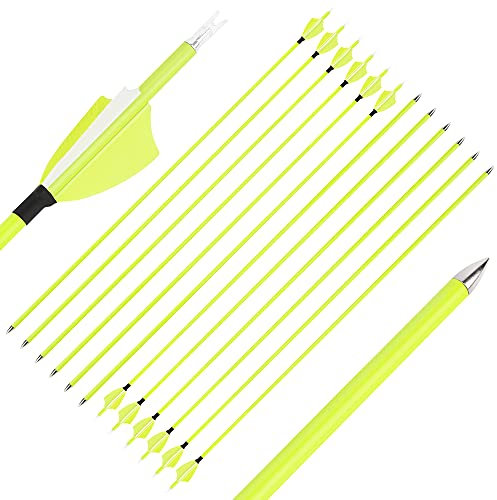 SHARROW 12 Stück Carbonpfeile 30 Zoll Carbon Pfeile für Bogen Bogenpfeile Spine 1500 Jagdpfeile für Recurve Bogen und Compoundbögen (Typ 1: Pfeile)