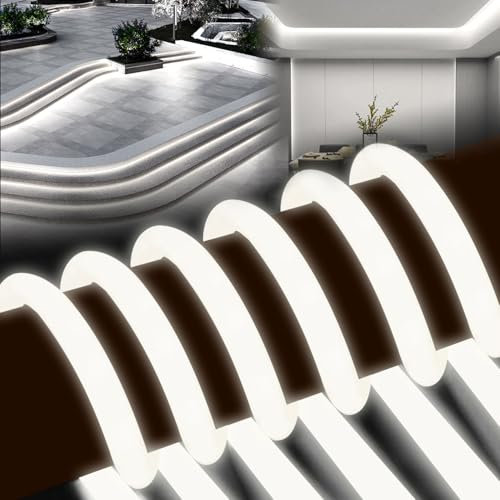 BRIMETI Striscia LED Neon 2 Metri 220V Tubo LED Strisce Flessibile 360° Rotondo Esterno Impermeabile IP65 Nastri Luminosa Corda Stringa,con Alimentatore di rete e Controller (Bianco)