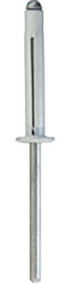 Restagraf - Rivets Expansés Blancs pour Plaques d'Immatriculation - Diamètre 4 mm - Fixation Durable sur Carrosserie ou Support Plastique - Réf. 4530 - Boîte de 250