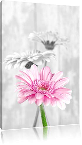 Pixxprint schöne Gerberas bei Tageslicht B&W, Größe: 80x60cm, Leinwandbild, fertig gespannt, Wandbild, Dekoration, Kunstdruck, kein Poster