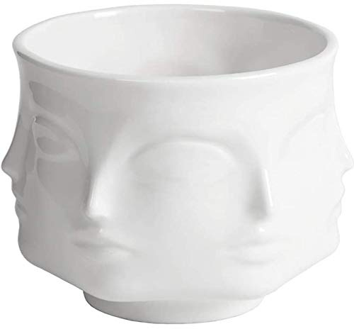 Siunwdiy Garten Blumentopf Vase Moderne Keramik Blumen Dora Maar Musa Jonathan-Kopf-Dekoration Design Illustration Adler Büro Gärten Dekoration und an der Außenseite Haus,Weiß