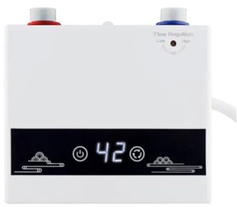 Chauffe-eau électrique Chauffe-eau Instantané Sans Réservoir Radiateurs Électriques For À Domicile For Salle De Bain Douche Chauffe-eau Pour les petits appartements(With shower one)