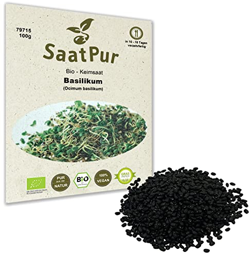 100 g BIO Keimsprossen Basilikum Basilikumsamen für die Sprossenzucht Superfood Mikrogrün Grünkraut