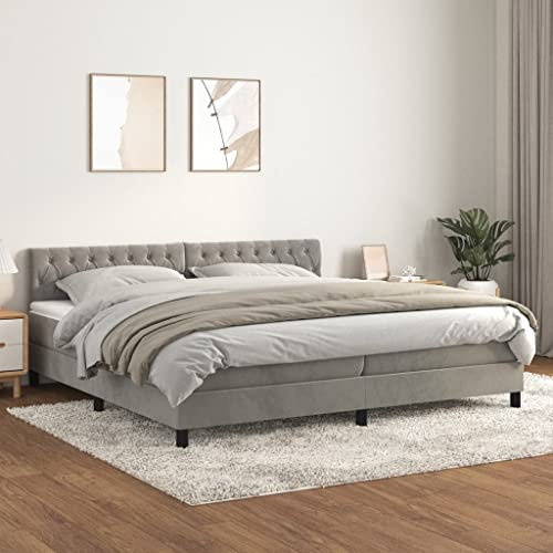 OHOOWOO Boxspringbett mit Matratze Hellgrau 200x200 cm Samt,Luxuriöses SamtBoxspringbett mit höhenverstellbarem Kopfteil für erholsamen Schlaf