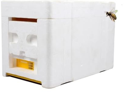 WJLYDM Bienenstock-Box Bienenkönigin, die Bienenstock aufzieht, Imkerei, Ernte, Bestäubung, Bienenstock, Kasten, Reserve, Honig, Bienenzuchtausrüstung for Imker FüR BienenzüChter