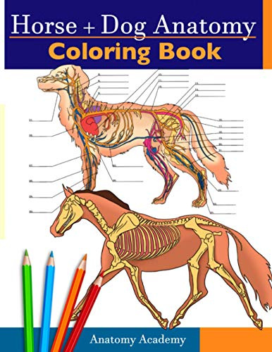 Horse + Dog Anatomy Coloring Book: 2-in-1 Compilation | Incredibly Detailed Self-Test Equine & Canine Anatomy Color workbook | Perfect Gift for Veterinary Students, Animal Lovers & Adults