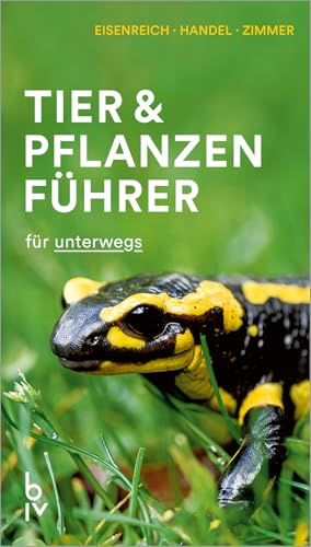 Der BLV Tier & Pflanzenführer: für unterwegs (BLV Naturführer)