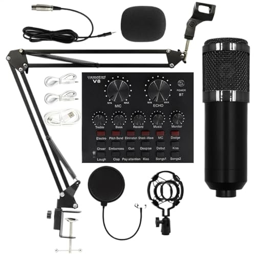 Aufnahmemikrofon Set Live Streaming Ausrüstung Professionelles Mikrofon Mikrofon Kit für Sänger Live Streaming Kit Recording Studio Supplies Mikrofon für Live Streaming Professionelles Streaming