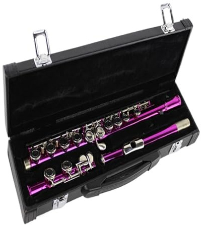 Anfänger-Flöteninstrument 16-Loch-C-Taste professionelle Flöte