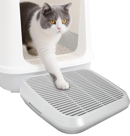 Sbayool Rampa per gatti per lettiera, scaletta per gatti con funzione di filtro, a doppio strato, lavabile e facile da pulire, adatta per gatti piccoli e anziani (grigio)