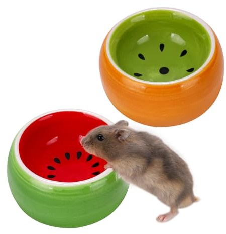 Confezione da 2 ciotole in ceramica a prova di punta per piccoli animali domestici per criceti, coniglietti, cincillà, simpatici piatti da portata per ricci per gabbia