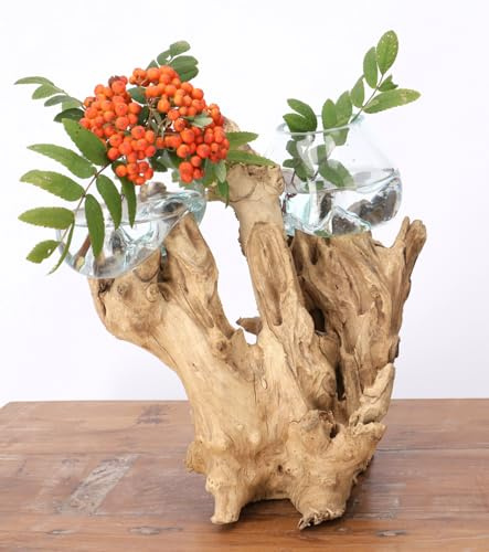 Exotische Wurzelholz Deko Vase mit Glasgefäß, 2 * Ø Glas bis 10 cm | Einzelstück aus Kaffeebaumholz, Recyclingglas, vielseitig einsetzbar, stimmungsvolle Lichtquelle, Höhe 30-50 cm