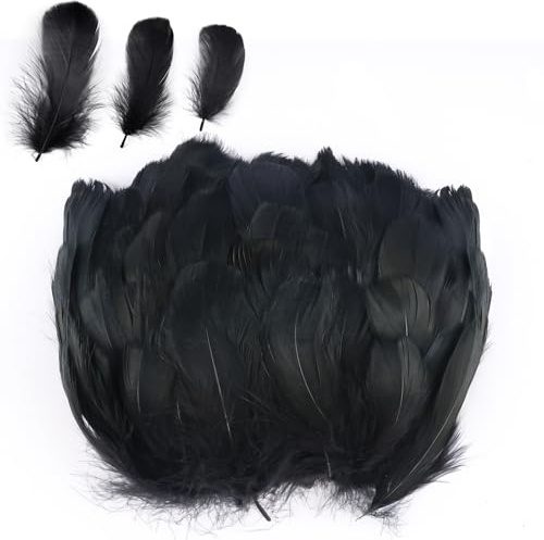 300 Stück Federn zum Basteln, Natürliche Bastelfedern, Federn Schwarz | Indianer Federn Basteln Fasanenfedern, Bastelfedern Deko für DIY DEK Ostern Halloween Maske Traumfänger Partydekorationen
