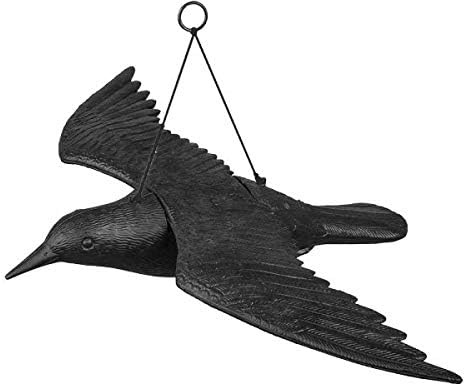 rg-vertrieb Taubenschreck Vogelscheuche Taubenabwehr – Große Vogelscheuche 61cm breit, Krähe zur Vogelabwehr für Balkon, Garten & Obstbäume, Krähe Rabe Vogelschreck (1 Stück)