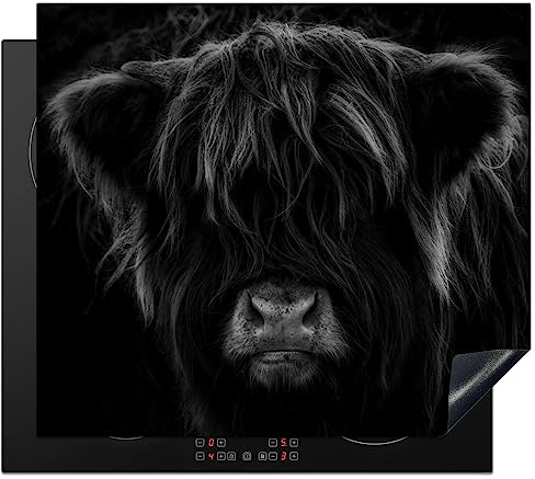 KitchenYeah© Herdabdeckplatte Einteilig Küche Herdabdeckung Induktionsfeld Ceranfeld Herdabdeckplatten Vinyl Matte Aufrollbar Schottisches Hochlandrind - Kuh - Schwarz und Weiß - Tiere - 60x52 cm