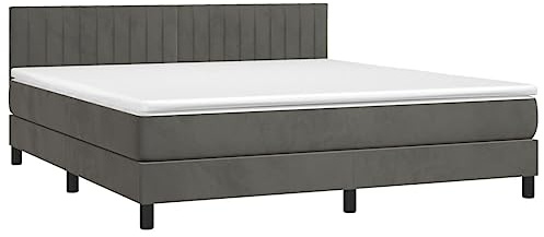 Hommdiy Boxspringbett mit Matratze Dunkelgrau 160x200 cm Samt,Geeignet für alle Arten von Schlafzimmern