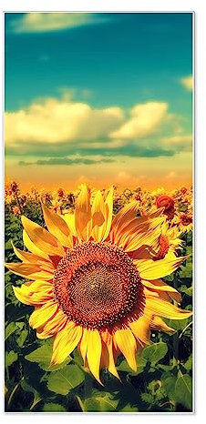 banjado® Magnettafel 37 x 78cm / Magnetwand aus Metall/Magnetpinnwand als Memoboard/Pinnwand Magnettafel Küche, Büro, Kinderzimmer inkl. 4 Magnete & Montageset - Motiv Sonnenblumen