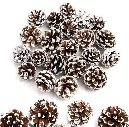 GZGXKJ 32pz Mini Pigne Natalizie 3-4 cm Pigne di Pino Naturale Natalizie Decorazione per il Fai da te Halloween Natale Autunno Giorno del Ringraziamento Decorazione Invernale