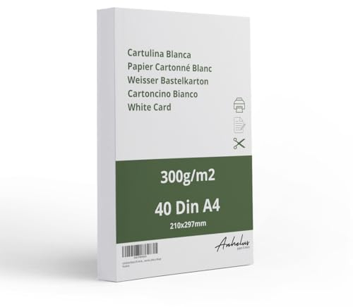 40 Zeichenkarton Weiß 300g papier A4 - Packung mit 40 Blatt 21x29,7cm Kartonpapier - Dickes papier a4 zum drucken - Bastelkarton – Cardstock – Fotokarton – Tonkarton