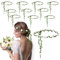 Cindeer 12 Pezzi Corona di Fiori per Capelli Guirlanda di Fiori da Sposa Fascia Floreale da Donna Coroncina di Fiori Boho Regolabile Verde per Cerimonia Matrimonio Festival Prop Fotografico