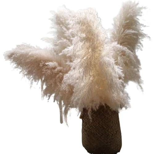 ApuaVireo&Co Hierba de la Pampa Grande, 60 cm, esponjosa y Alta, decoración de Pampas, Hierba Seca Grande, Flores Artificiales, decoración de Mesa for el hogar, Boda, Sala de Estar(10pcs)