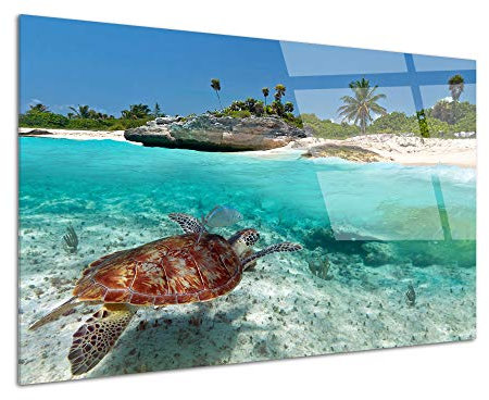 DECLINA, tableau mural, décoration murale, impression sur verre acrylique, photo tortue marine, faune marine, art mural, cadre design, déco nature, tableau océan