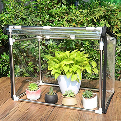 Kleines Min Balkon Gewächshaus Pflanzenhaus Treibhaus Pflanzenzelt-Blumen-Topf-Abdeckung Innen Outdoor Garten Hinterhöfe |Transparenter Kunststoff-PVC und Edelstahlrahmen, wasserdicht wetterfest