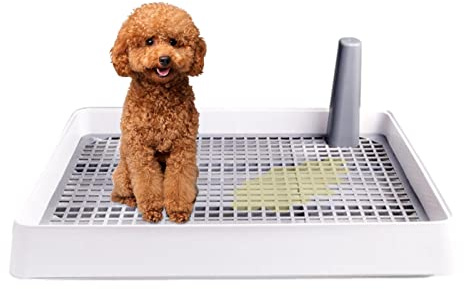 WEITING Lettiera per cani indoor | Vassoio, toilette per allenamento in rete, vasino per cuccioli e cani di piccola taglia, funziona con la maggior parte dei pad di allenamento