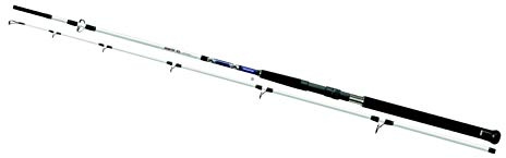 Cormoran Seacor RS 2.70m 50-160g
