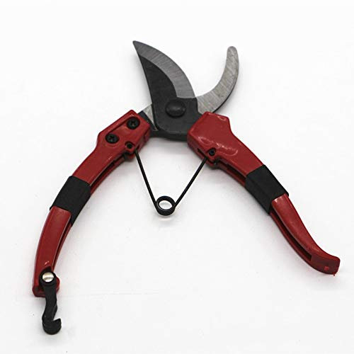 Spacmirrors 7.3Alberi da frutto da Giardino Cesoie da potatura per Piante Cutter Bonsai Forbici Innesto Potatura Ramo Trimmer Attrezzi manuali da Giardino